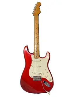 STRATOCASTER GIG BAG