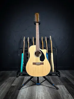 12-STRING ACOUSTIC/ELECTRIC