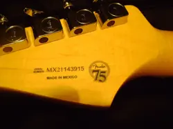 ANNIVERSARY GUITAR WITH