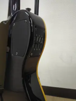 ECO ELECTRIC ACOUSTIC