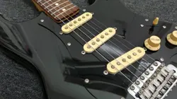 REISSUE WITH PICKGUARD