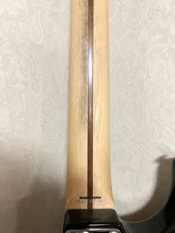 STRATOCASTER SOFT CASE