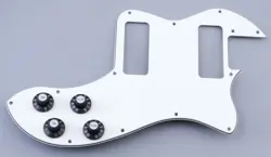 PICKGUARD EQUIPPED