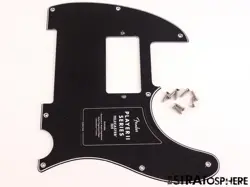 HH PICKGUARD GUITAR
