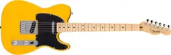 PICKGUARD BUTTERSCOTCH BLON