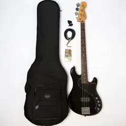 HUMBUCKER PICKUP MEXICO