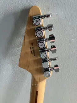 DAIKI TSUNETA SIGNATURE