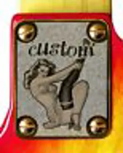 NECK PLATE NECKPLATE GOLD FENDER STRAT TELE P BASS J BASS GUITAR PIN UP STOCKING