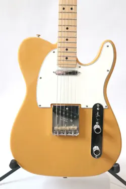 TELECASTER PLAYER 2022