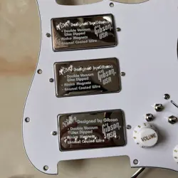 LOADED ST PICKGUARD