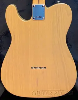 BUTTERSCOTCH BLONDE V2436468