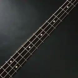 PRECISION BASS POLAR