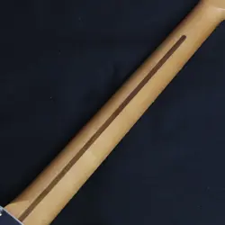 STRATOCASTER HSS POLAR