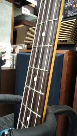 ROSEWOOD FINGERBOARD BLUE