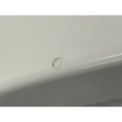 PLAYER TELECASTER LH