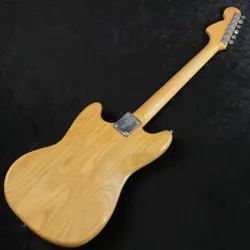 MUSTANG STUDENT MODEL