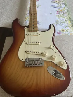 STRATOCASTER WITH HARDSHELL