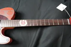 FENDER LIMITED MONSTER