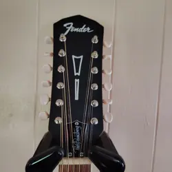 HELLCAT 12-STRING ACOUSTIC-ELECTRIC