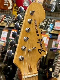 FENDER GW