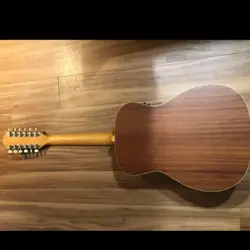 12 STRING ACOUSTIC-ELECTRIC