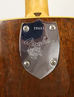 ACOUSTIC GUITAR W/GIG