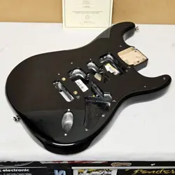 2019 FENDER AMERICAN PROFESSIONAL STRAT ALDER BODY GLOSS BLACK USA PRO GUITAR