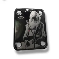 JAMES HETFIELD GUITAR NECKPLATE FITS FENDER STRAT, TELE