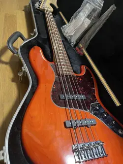 STANDARD 5-STRING BASS