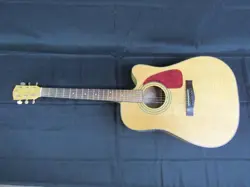 ACOUSTIC ELECTRIC STRING