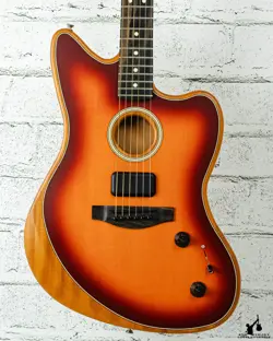 USA ACOUSTASONIC STANDARD