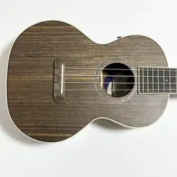 UKULELE V2 ELECTRIC