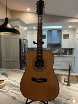 12 STRING~SPRUCE