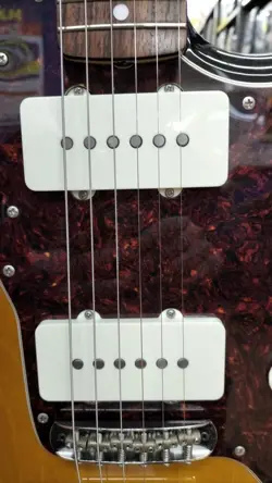 SUNBURST 2017 ELECTRIC