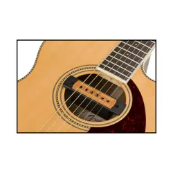 NEW FENDER MESQUITE HUMBUCKING ACOUSTIC SOUNDHOLE PICKUP