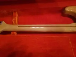 HARDTAIL NATURAL ASH