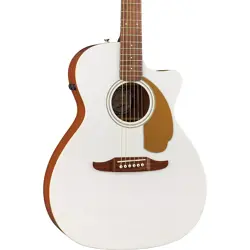 PLAYER LIMITED-EDITION ACOUSTIC-ELECTRIC