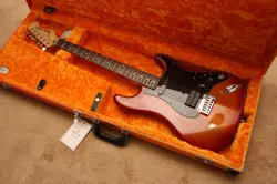 STRAT STYLE PARTSCASTER (FENDER NOISELESS NECK) DIMARZIO SUPER DISTORTION BRIDGE