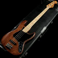 5.24KG ELECTRIC BASS