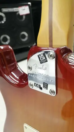 PROFESSIONAL Ⅱ STRAT