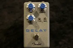 DELAY DELAY GUITAR