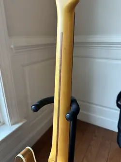 CUSTOM TELECASTER FIREMIST