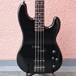 BLACK SERIAL ELECTRIC