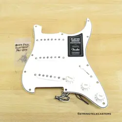 CUSTOM SHOP PARCHMENT