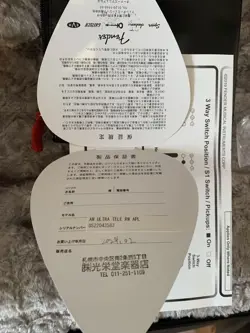 ULTRA TELECASTER SAFE