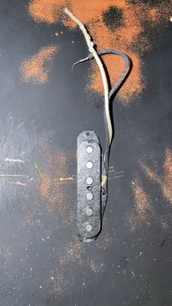 FENDER CUSTOM SHOP FAT 50S BRIDGE