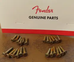 AGED PICKGUARD MOUNTING