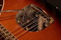 3-COLOR SUNBURST/PAU