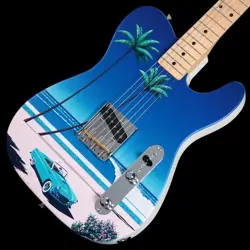 FENDER ART CANVAS ESQUIRE HIROSHI NAGAI NO.1 3.67KG MADE IN JAPAN 2022