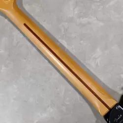 PROFESSIONAL 2TELECASTER